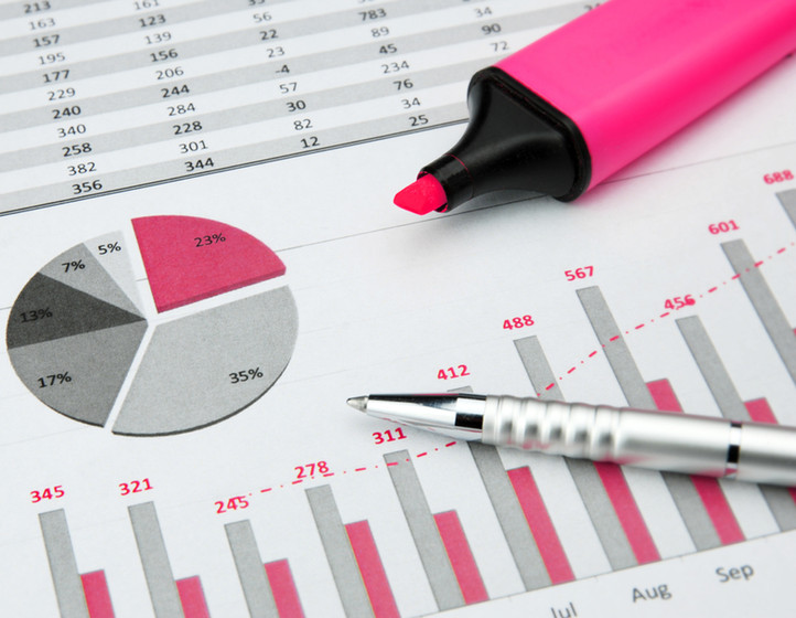 Controller-Level Visibility at Pink Business Advisors