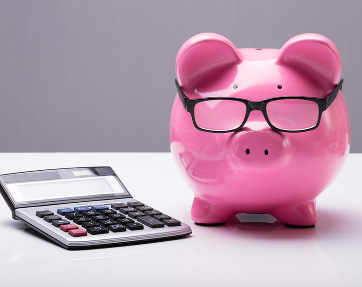 Focused Finance Projects at Pink Business Advisors